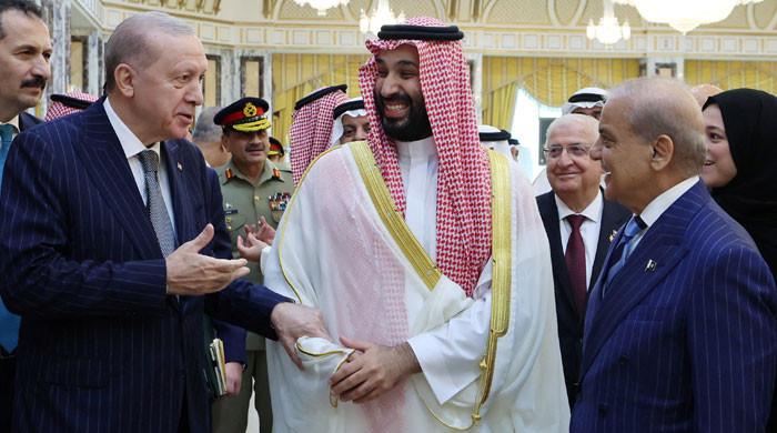 Erdogan says defence deal with Pakistan, Saudi Arabia 'targets no country'