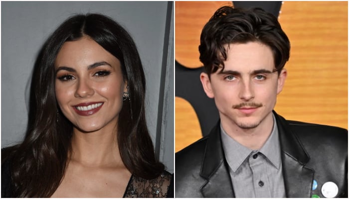 Monica Barbaro explains co-star Timothee Chalamets viral ballet comments