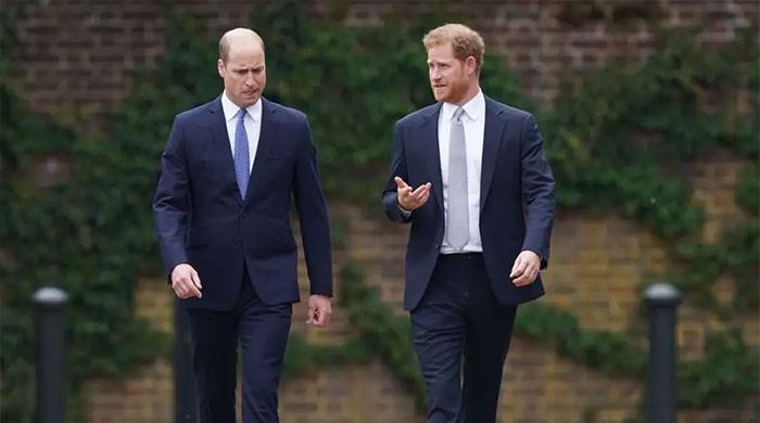 Prince William and Harry's quiet reunion revealed despite distance