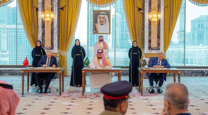 Egypt may join Pakistan-Saudi Arabia-Turkiye defence pact: FM Fidan