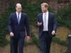 Prince William and Harry's quiet reunion revealed despite distance