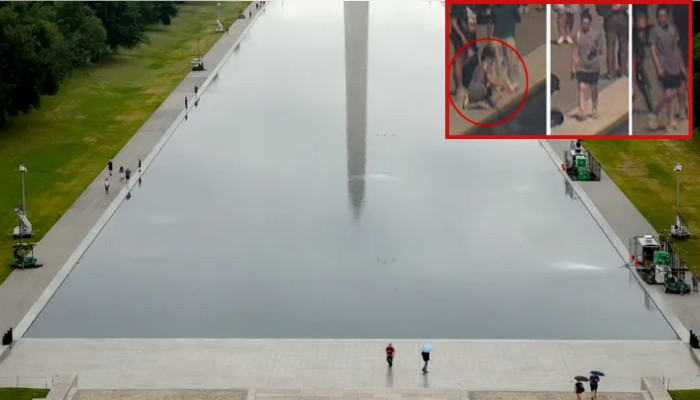 Trump Renews Claims of Contractor Error and Vandalism in Reflecting Pool Damage