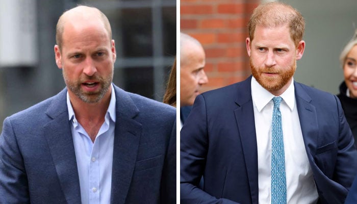 Prince William faces ‘unavoidable’ joint task with Prince Harry in 2027
