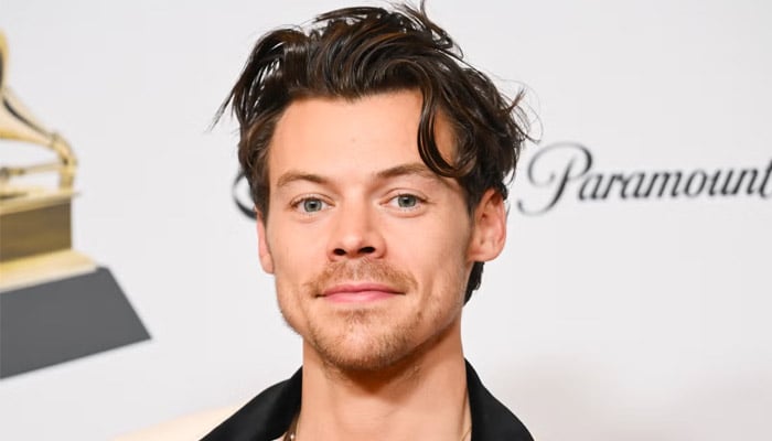 Harry Styles melts hearts after sharing sweet moment with fan’s baby