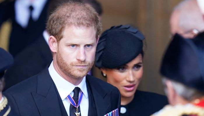Prince Harry gives strict instructions to Meghan amid Palace chaos