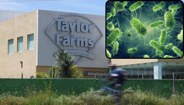 Taylor Farms recalls salsa, guacamole over Salmonella contamination fears