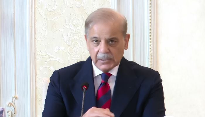 Prime Minister Shehbaz Sharif addresses federal cabinet meeting in Islamabad on August 10, 2026. — Scrrengrab via Geo News