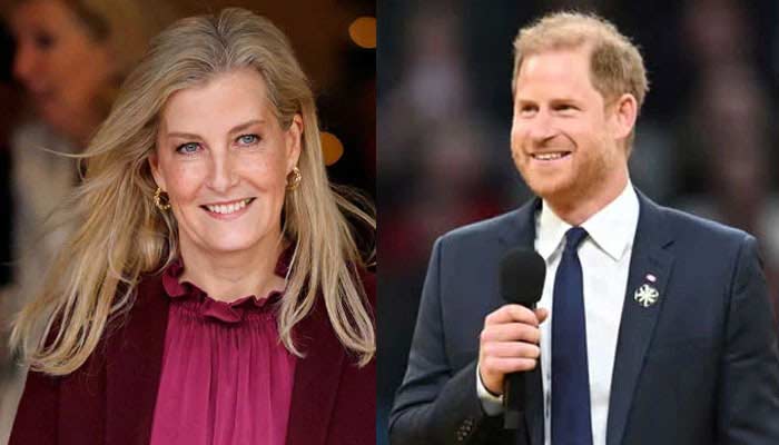 Duchess Sophie steps up for Harrys mission with new title