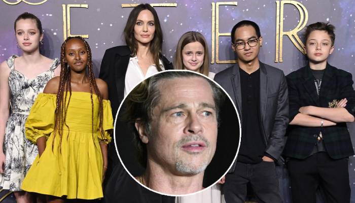 Pitt and Jolie finalised their divorce in December 2024 after their contentious 2016 split
