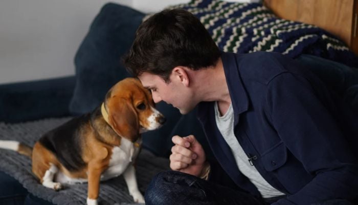 Scientists create gene-edited dogs that dont trigger allergies: Heres how