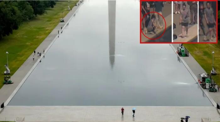 Trump blames 'contractor error' for Reflecting Pool damage, invokes new eyewitness claim