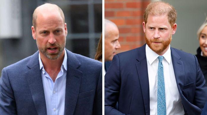 Prince William faces ‘unavoidable' joint task with Prince Harry in 2027