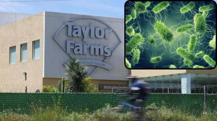 Taylor Farms recalls salsa, guacamole over Salmonella contamination fears