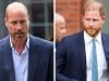 Prince William faces ‘unavoidable' joint task with Prince Harry in 2027