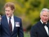 Prince Harry's emotional confession about King Charles after reunion