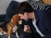 Scientists create gene-edited dogs that don't trigger allergies: Here's how