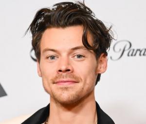 Harry Styles melts hearts after sharing sweet moment with fan's baby