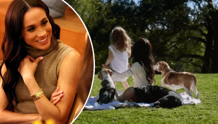 Meghans beloved family member honoured for resilience in new video