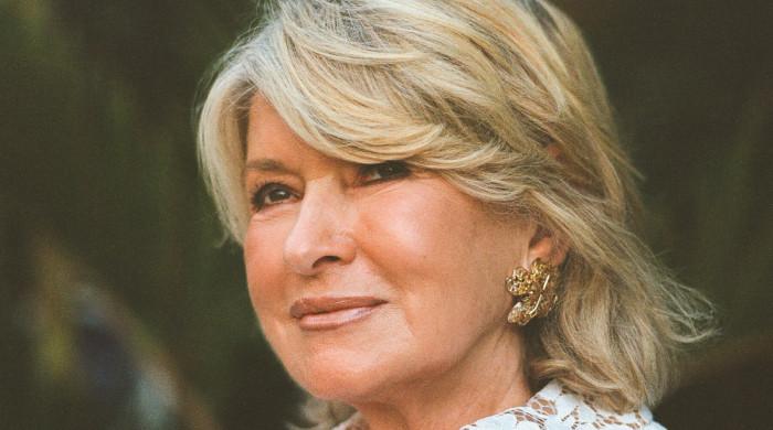 Martha Stewart, 85, debuts rose gold pink hair transformation