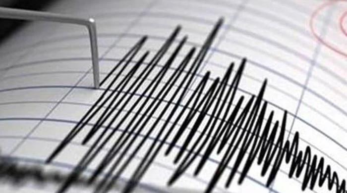 4.8-magnitude quake strikes Balochistan, tremors felt in Zhob, Chaman