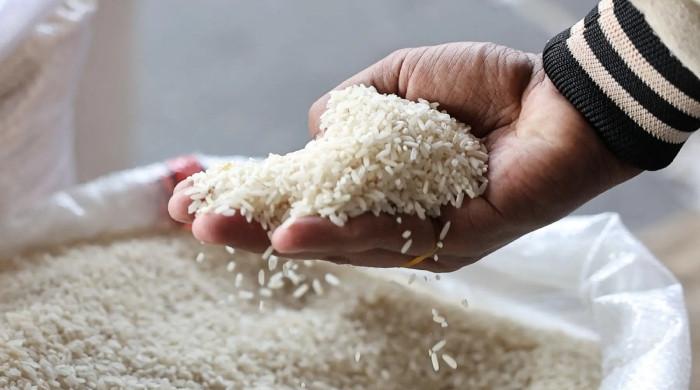 Australian court rejects India's 'Basmati' trademark appeal, in win for Pakistan