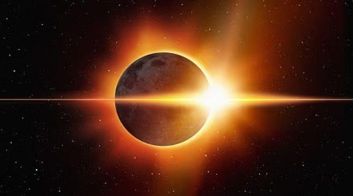 Weird things that will happen during the rare solar eclipse: Animals falling silent?