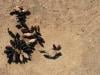 'Earth registers second-hottest July on record'