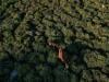 World 'not on track' to meet biodiversity goals ahead of UN talks