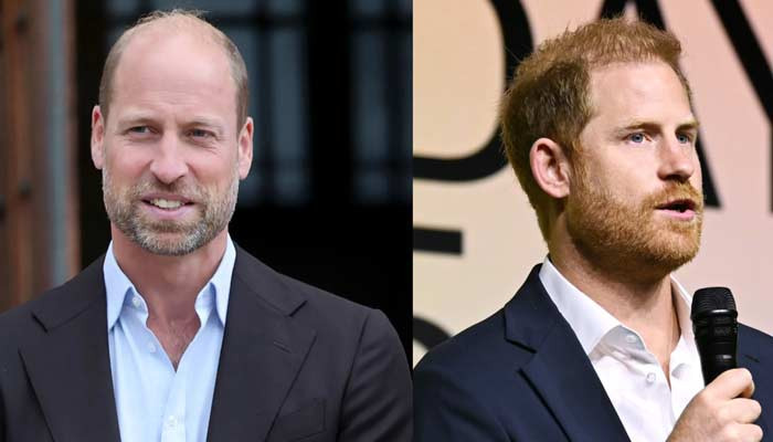 Royal Rift: Prince William Sets Boundaries as Prince Harry Eyes UK Return