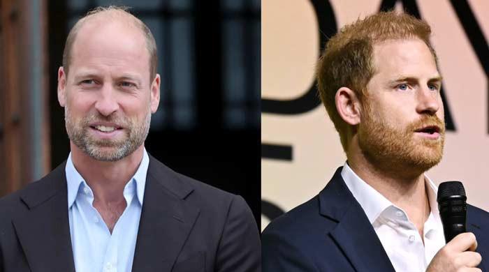 Prince William draws red line over Harry's return amid fears of new bombshell