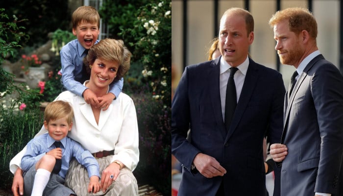 William, Harry receive emotional update on Diana in latest announcement