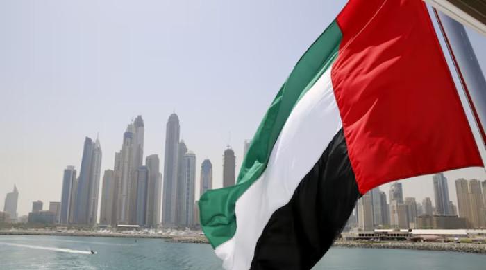 UAE suspends all trade, financial transactions with Iran after missile attack