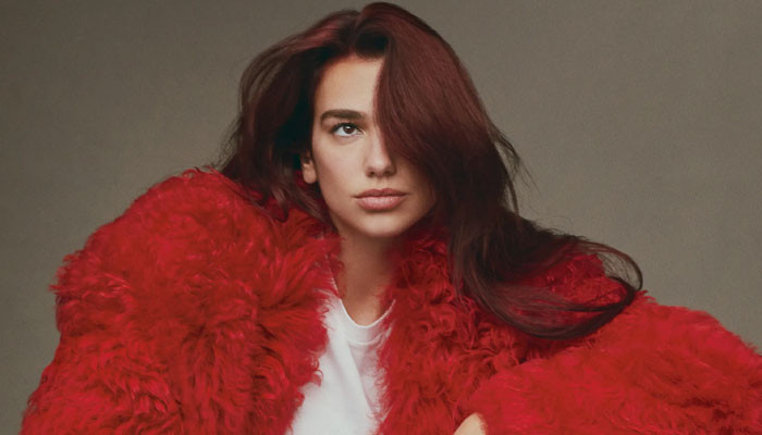 Dua Lipa celebrates 11 years of debut single ‘New Love'