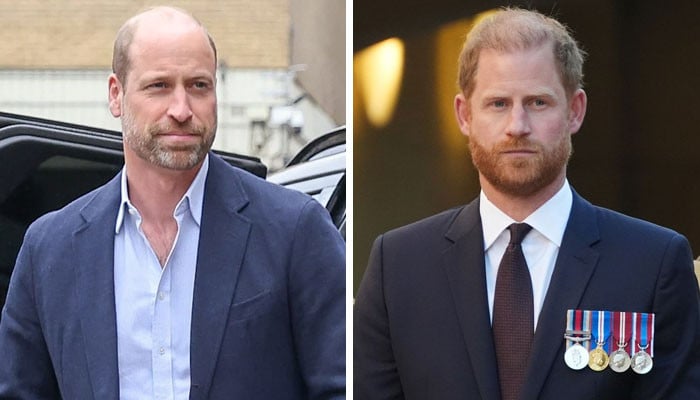 Prince William, Prince Harry reconciliation progress laid bare