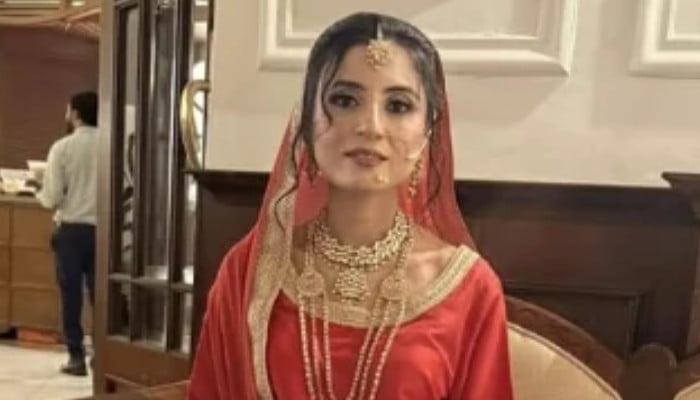 Hina Javed case: Post-mortem report reveals multiple injuries on victim's body