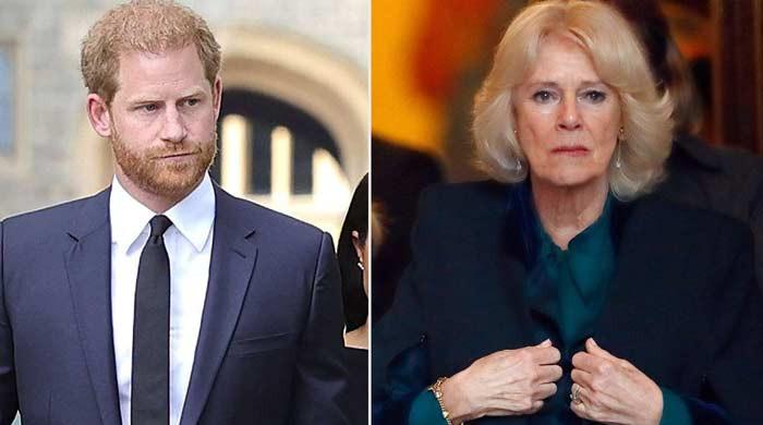 Prince Harry regrets his comments about Queen Camilla?