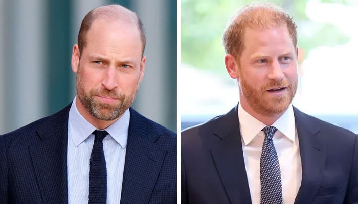 Prince William, Prince Harry joint appearance looms as Diana charity issues update