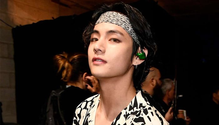 BTS V surprises fan after concertgoer mentions viral BTS meme
