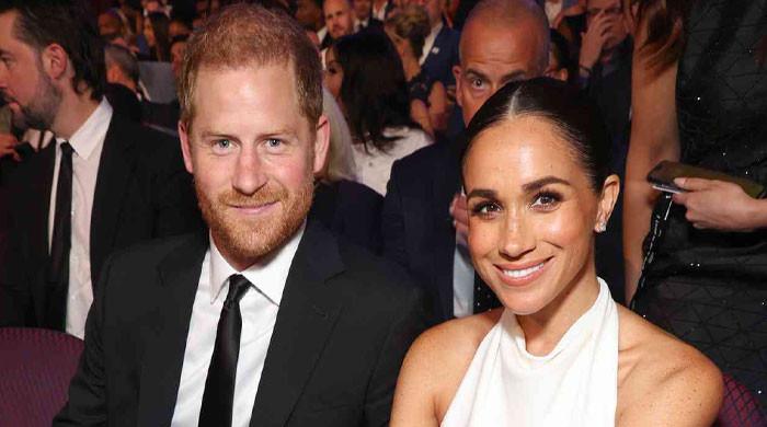 Palace aide unveils grand plan Firm has for Prince Harry, Meghan's return