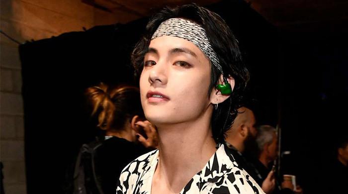BTS V surprises fan after concertgoer mentions viral BTS meme