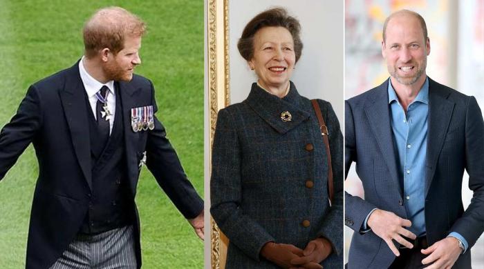 Britons give final verdict on Prince Harry, William's reconciliation