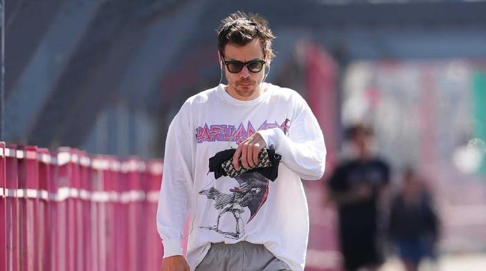 Harry Styles reflects on 'much-needed' time away from touring 