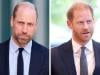 Princes William, Harry joint appearance looms as Diana charity issues update