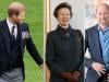 Britons give final verdict on Prince Harry, William's reconciliation