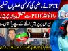 Rana Sanaullah's statement on PTI sparks discussion