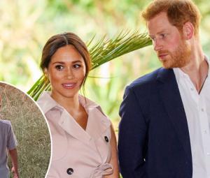 Prince Harry, Meghan forced to leave behind Archie's beloved project in US