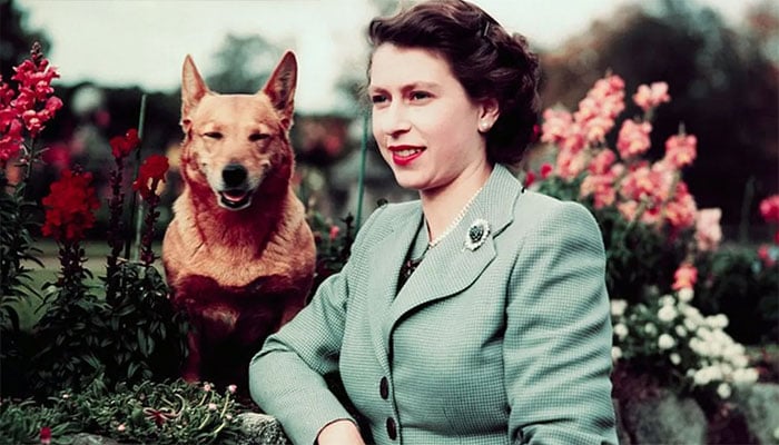 Queen Elizabeth IIs lifelong love of corgis celebrated on International Dog Day