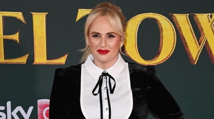 Rebel Wilson's shocking $110K 'untraceable site' message revealed 