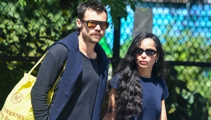 Harry Styles fans notice sweet nod for Zoe Kravitz in new update
