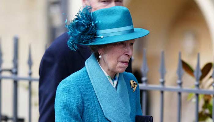 Princess Anne becomes Harry, Meghans secret weapon for royal return
